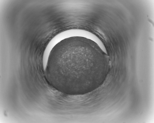 X0000093230029200710241245