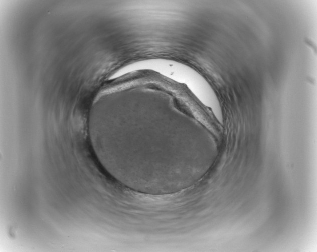 X0000093230031200710241245