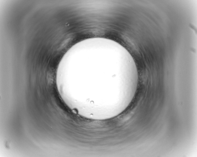 X0000093230032200710241244