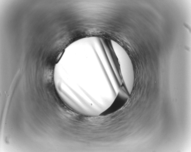 X0000093230033200710241244