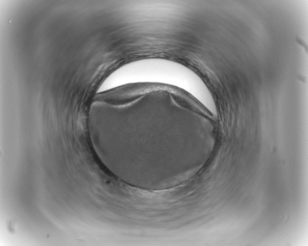 X0000093230035200710241244