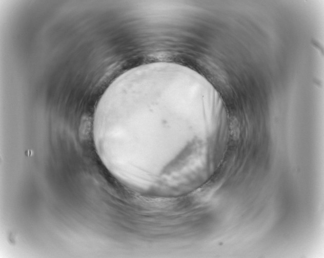 X0000093230036200710241244