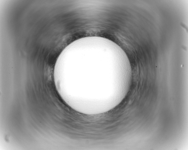 X0000093230038200710241244