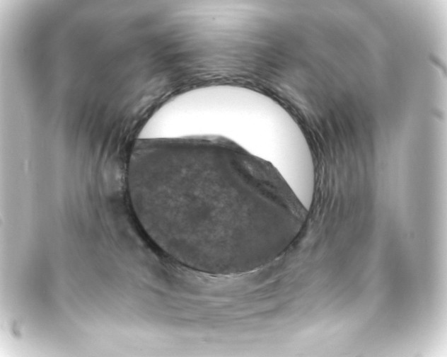 X0000093230039200710241244