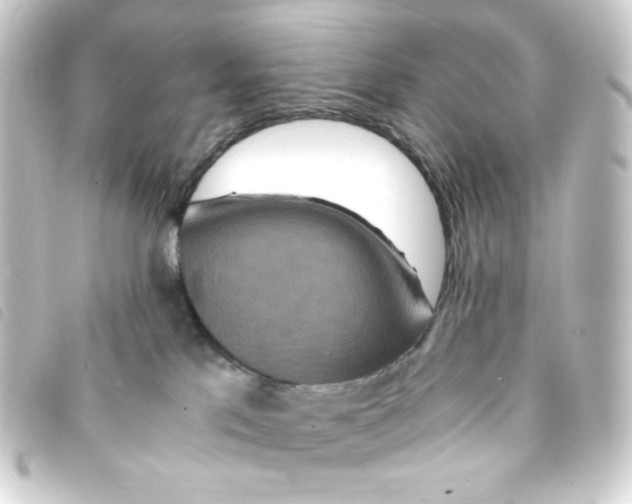 X0000093230041200710241244