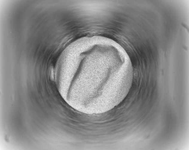 X0000093230046200710241244