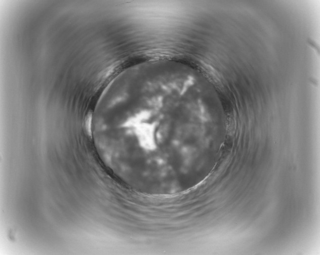 X0000093230047200710241244