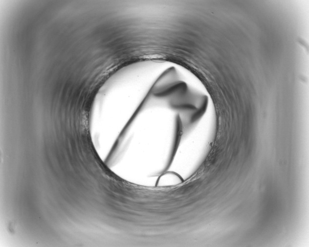 X0000093230048200710241244