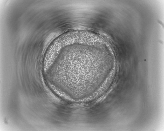 X0000093230049200710241243