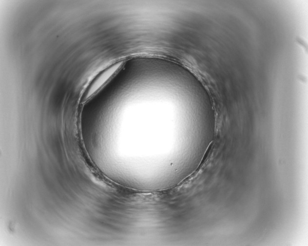 X0000093230050200710241243