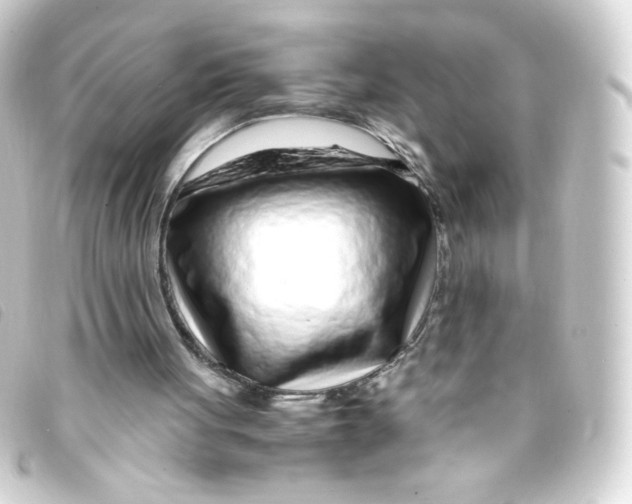 X0000093230051200710241243