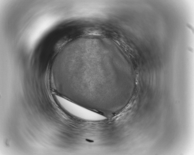 X0000093230052200710241243