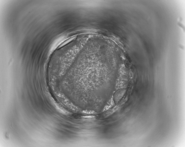 X0000093230053200710241243