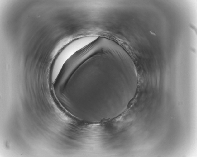 X0000093230054200710241243