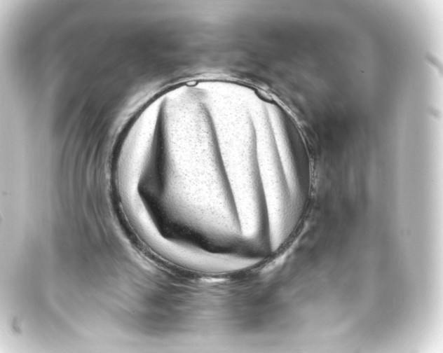 X0000093230055200710241243