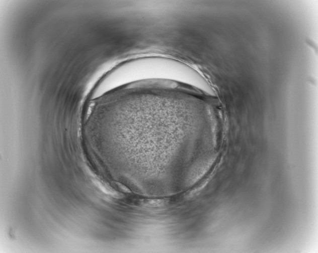 X0000093230056200710241243