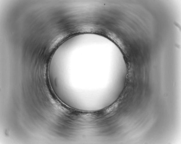 X0000093230058200710241244