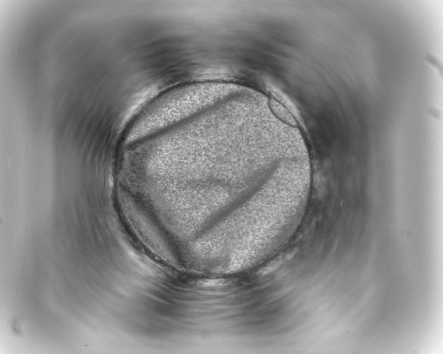 X0000093230059200710241244