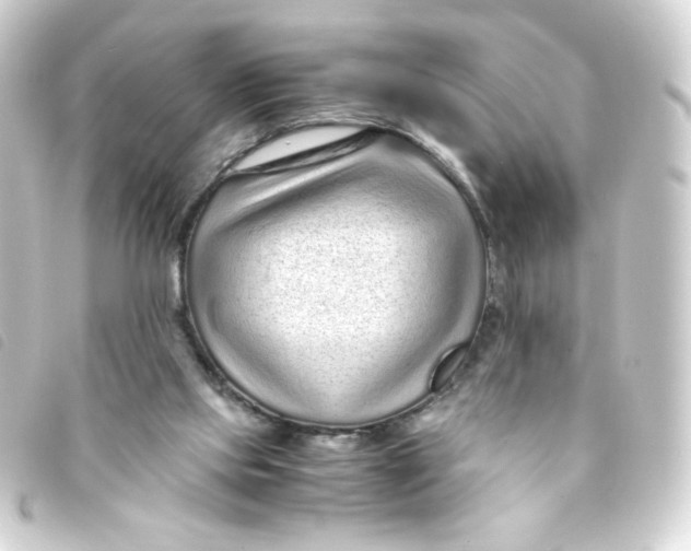 X0000093230061200710241244