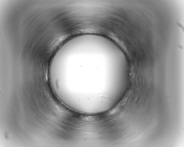 X0000093230062200710241244