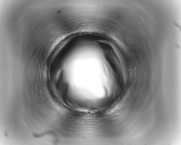 X0000093230064200710241244