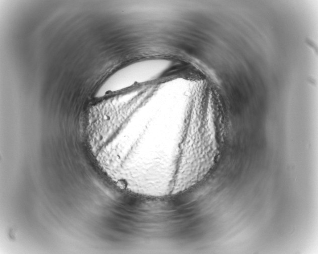 X0000093230065200710241244