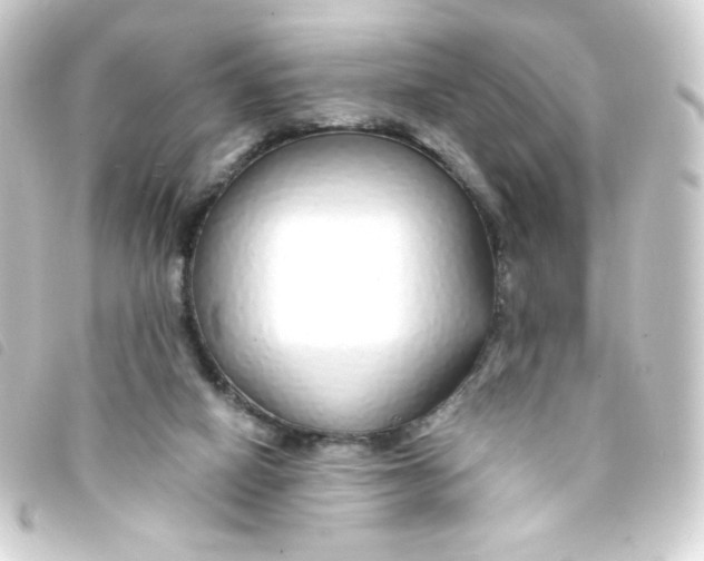 X0000093230066200710241244