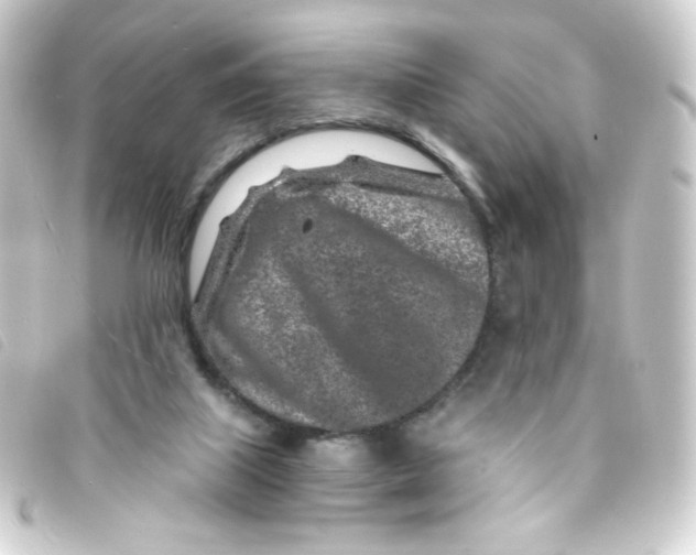 X0000093230067200710241244