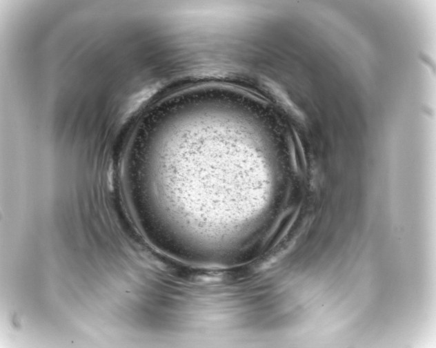 X0000093230068200710241244