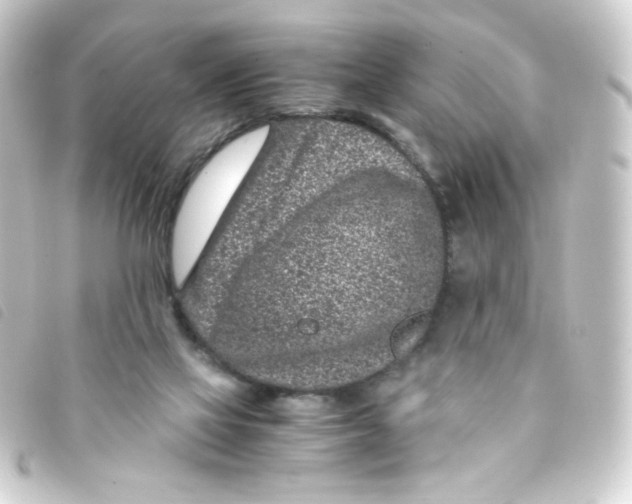 X0000093230069200710241244