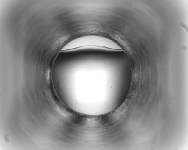 X0000093230070200710241244