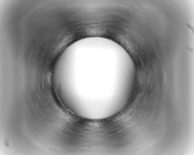 X0000093230071200710241244