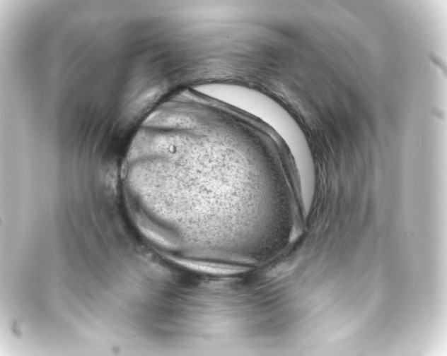 X0000093230072200710241244