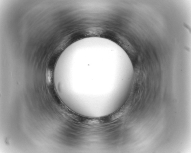 X0000093230075200710241244