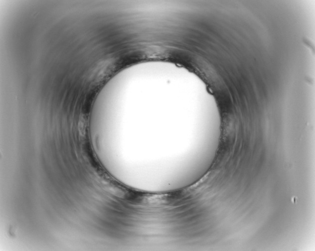 X0000093230078200710241244