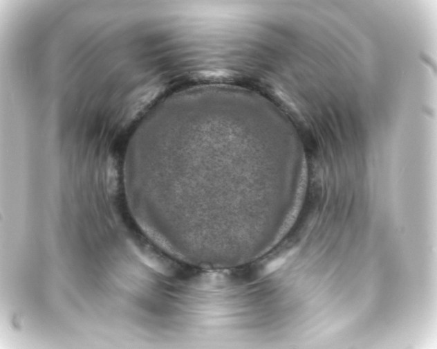 X0000093230080200710241244