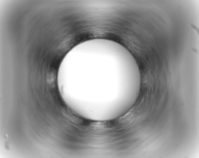 X0000093230082200710241244