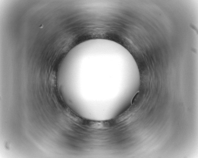 X0000093230083200710241244