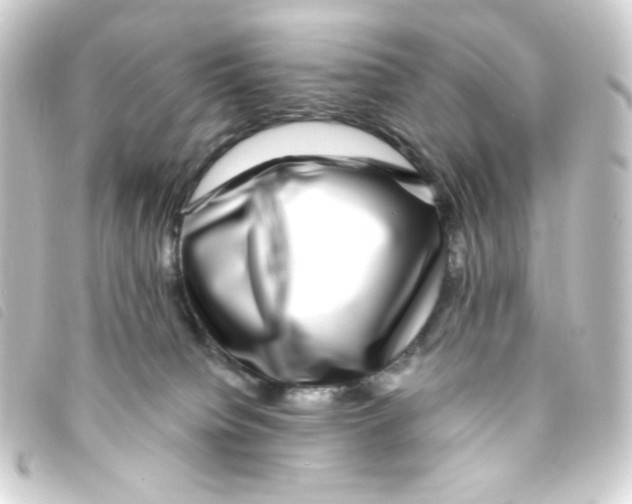 X0000093230084200710241244