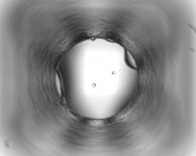 X0000093230085200710241244