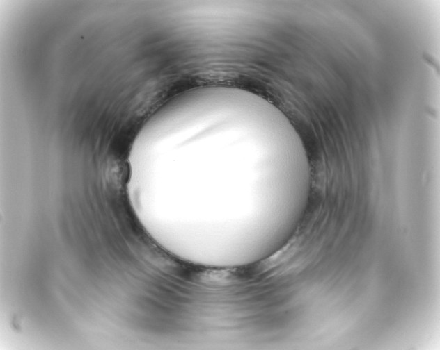 X0000093230086200710241244