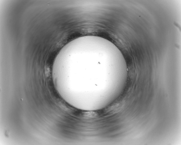 X0000093230087200710241244