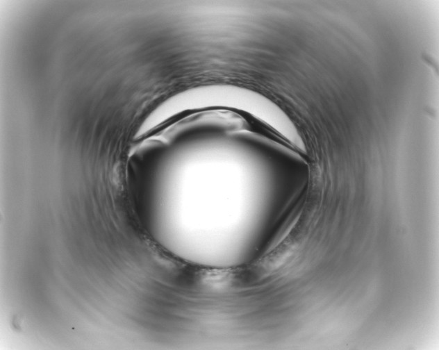 X0000093230088200710241244