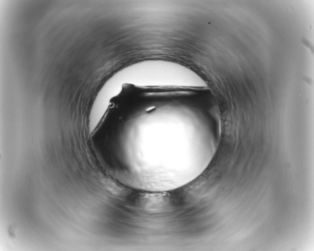 X0000093230089200710241244