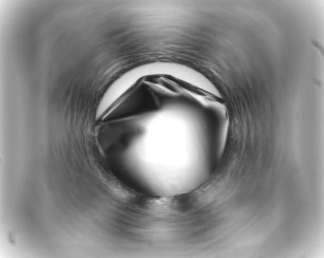 X0000093230092200710241244