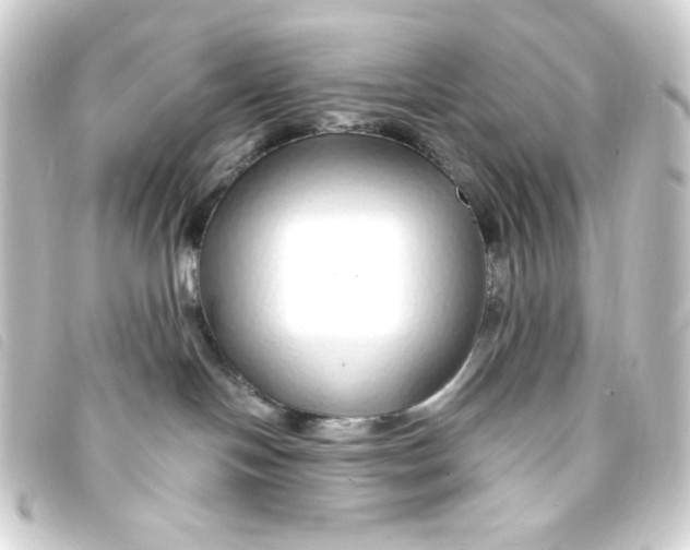 X0000093230094200710241244