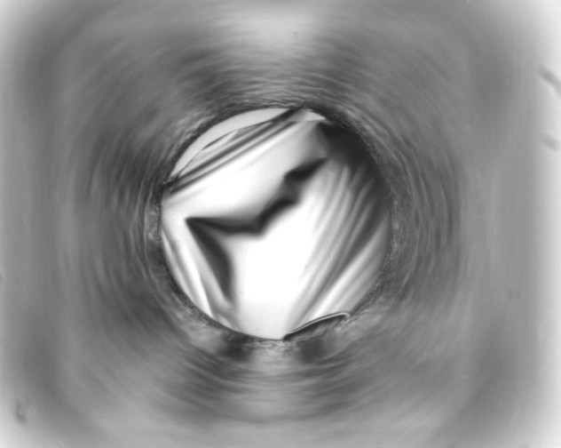 X0000093230096200710241244