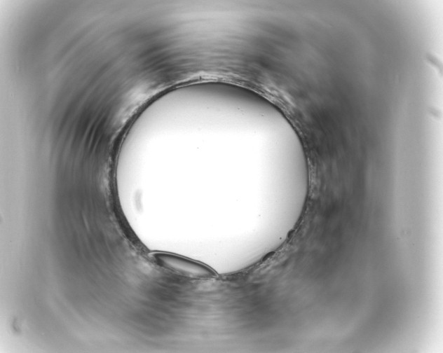 X0000093230098200710241243