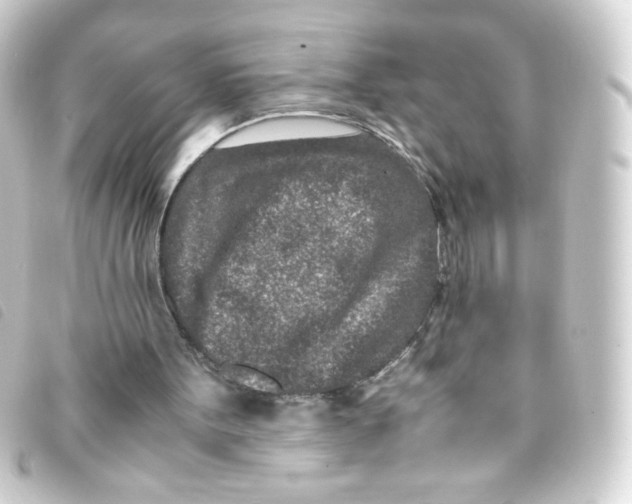 X0000093230099200710241243