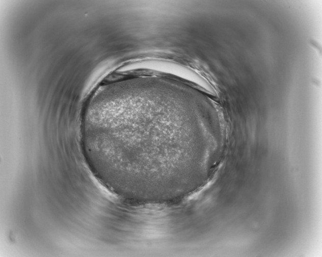 X0000093230101200710241243